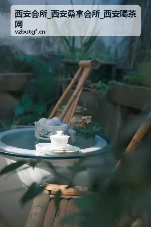 西安会所品质桑拿商务包间环境